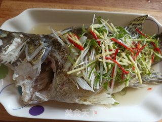 清蒸鳜(桂)鱼的做法步骤：8