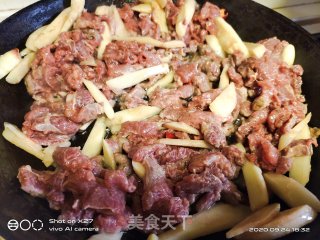 牛肉嫩姜炒黄瓜的做法步骤：4