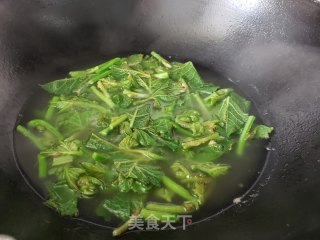 清汤南瓜苗的做法步骤：4
