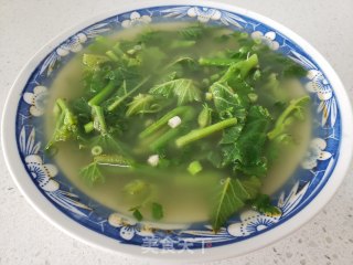 清汤南瓜苗的做法步骤：5