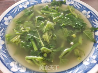 清汤南瓜苗的做法步骤：6