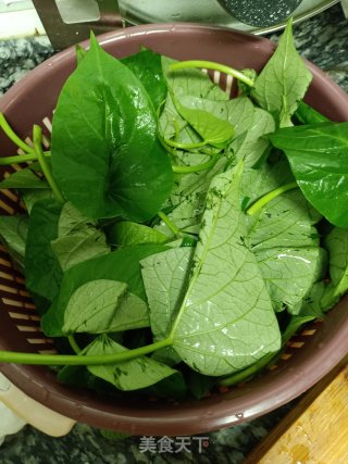 清炒红苕尖的做法步骤：1
