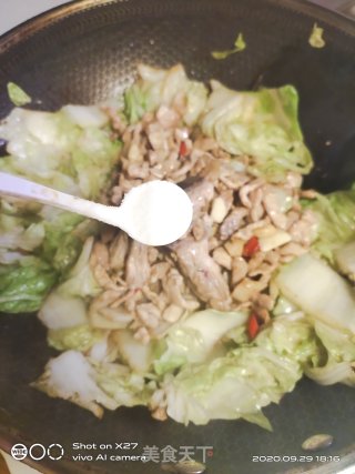 肉丝炒白菜的做法步骤：6