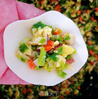 韭菜鱿鱼鹅蛋香菇水饺的做法步骤：8
