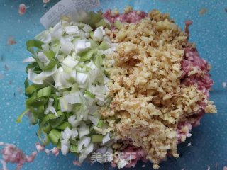 平菇猪肉饺子的做法步骤：6