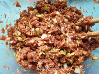 平菇猪肉饺子的做法步骤：8