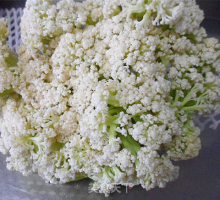 快手小炒——素炒散菜花的做法步骤：1