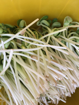 “快手小炒”素炒豆苗的做法步骤：1
