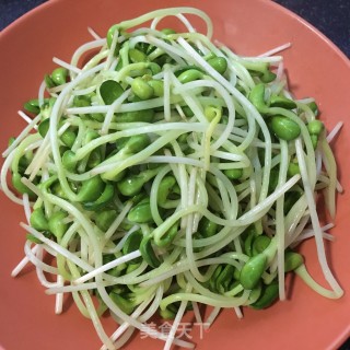 “快手小炒”素炒豆苗的做法步骤：9