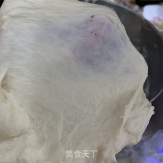 小餐包的做法步骤：4
