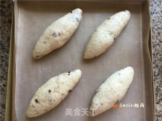 全麦香蕉面包的做法步骤：14