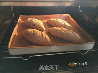 全麦香蕉面包的做法步骤：17