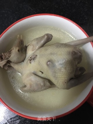 清炖鸽子的做法步骤：5