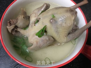 清炖鸽子的做法步骤：6