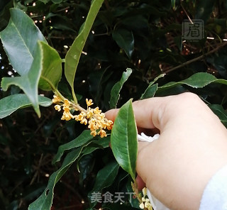 桂花糖浆的做法步骤：1