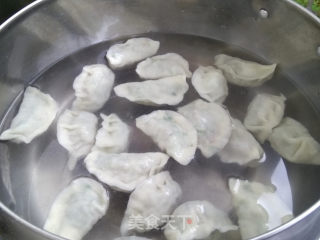 猪肉韭菜馅水饺的做法步骤：8