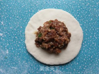 平菇猪肉包的做法步骤：10