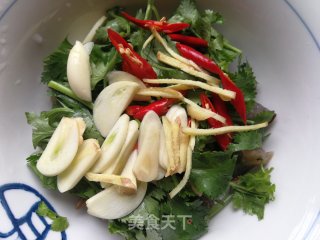 香菜拌海参的做法步骤：7