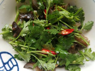 香菜拌海参的做法步骤：9