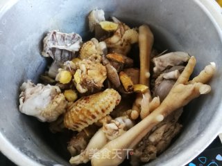 虫草花石斛炖土鸡的做法步骤：4