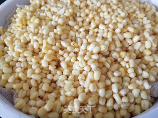 自制冰皮月饼的做法步骤：2