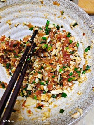 手抓饼版肉饼（快手）的做法步骤：1