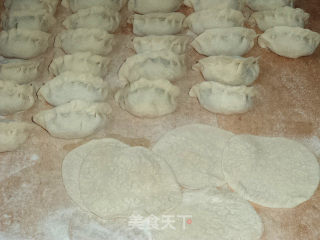 茴香猪肉馅水饺的做法步骤：6