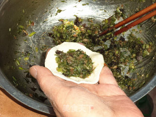 茴香猪肉馅水饺的做法步骤：7