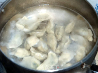 茴香猪肉馅水饺的做法步骤：9