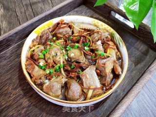 虫草花蒸鸽子肉的做法步骤：7