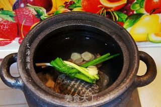 冬瓜甲鱼汤的做法步骤：7