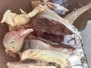 酸萝卜炖鸽子的做法步骤：5