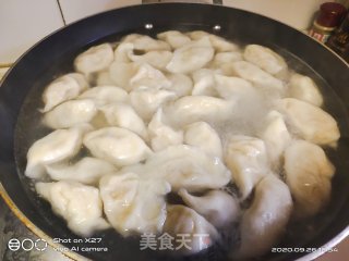 酸菜肉末饺子的做法步骤：10