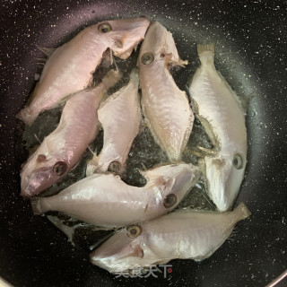 番茄焖剥皮鱼的做法步骤：4