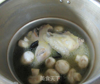 菌菇鸡汤的做法步骤：8