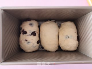 蔓越莓吐司的做法步骤：9