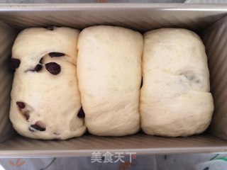 蔓越莓吐司的做法步骤：10