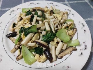 双菇炒油菜的做法步骤：15