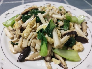 双菇炒油菜的做法步骤：17