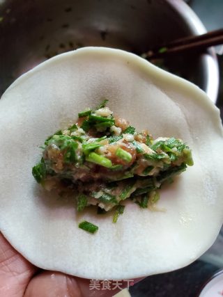 韭菜猪肉水饺的做法步骤：6