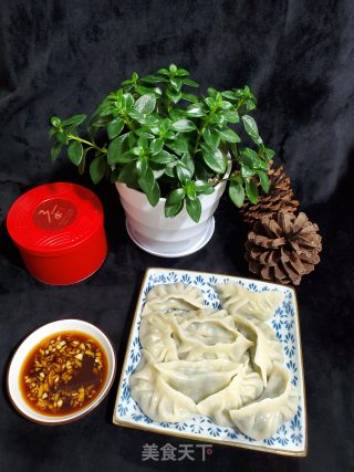 韭菜猪肉水饺的做法步骤：9
