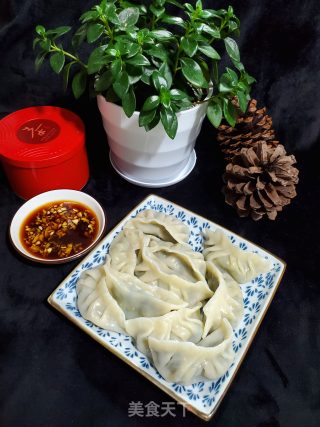 韭菜猪肉水饺的做法步骤：10
