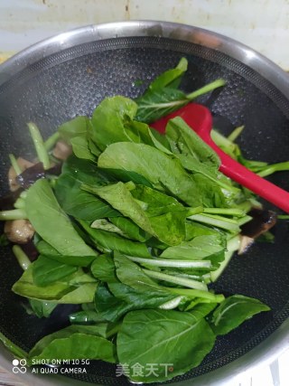 菜心炒蘑菇的做法步骤：9