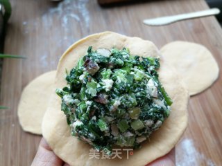 南瓜面素包子的做法步骤：6
