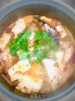 鲤鱼炖豆腐的做法步骤：7
