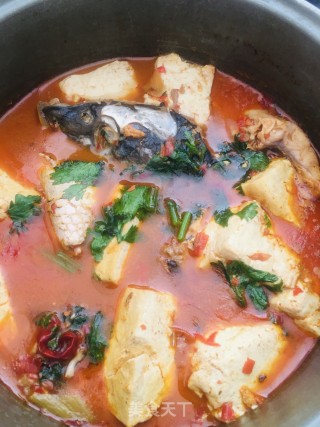 鲤鱼炖豆腐的做法步骤：8