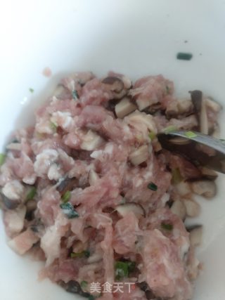 香菇猪肉饺的做法步骤：5