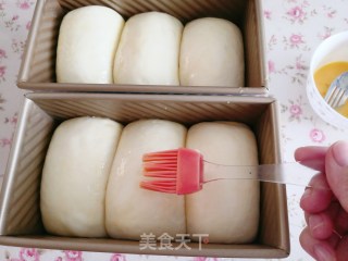 酸奶吐司的做法步骤：8