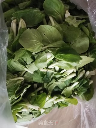 素炒小青菜的做法步骤：1