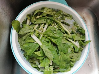 素炒小青菜的做法步骤：2